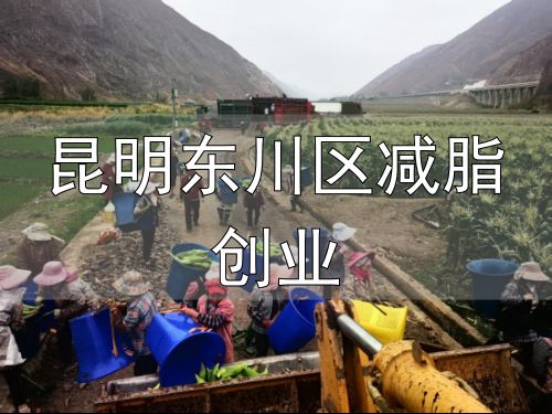 东川区立体农业发展模式_滇东北东川区产业振兴_昆明东川区减脂创业