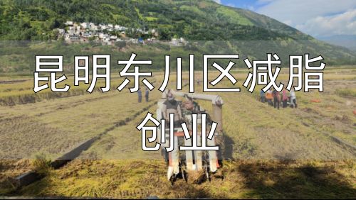 昆明东川区减脂创业_滇东北东川区产业振兴_东川区立体农业发展模式