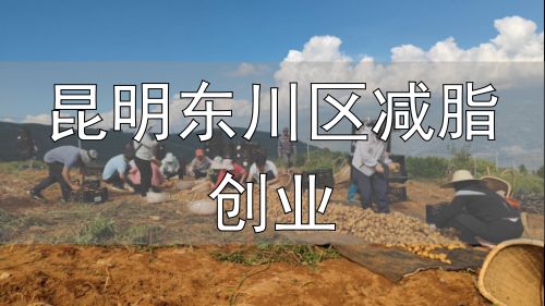 东川区立体农业发展模式_昆明东川区减脂创业_滇东北东川区产业振兴