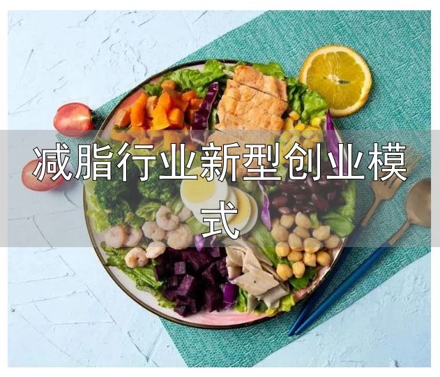 轻食消费升级新方向_减脂行业新型创业模式_轻食代餐行业发展趋势