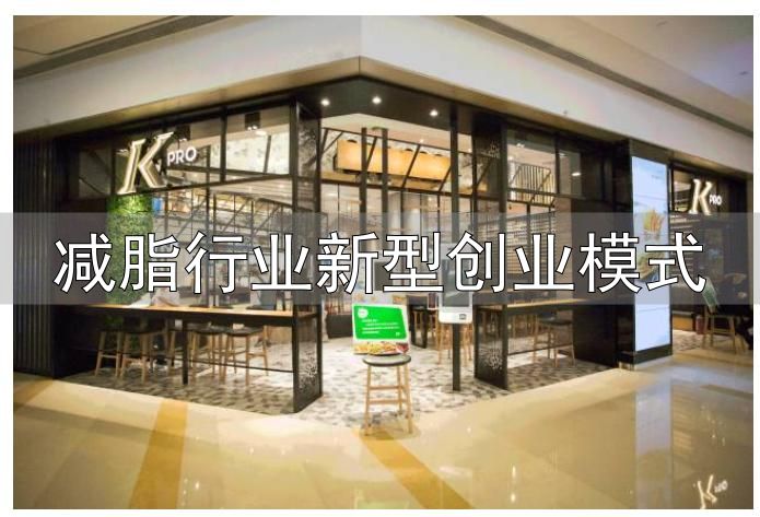 减脂行业新型创业模式_轻食消费升级新方向_轻食代餐行业发展趋势