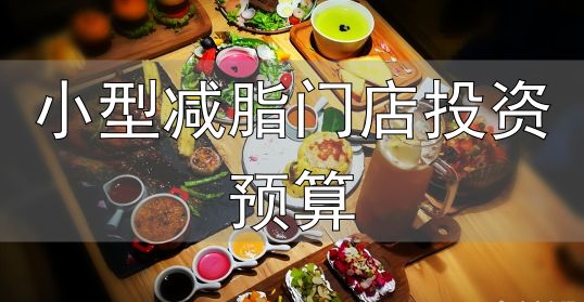 开轻食店资金预算_轻食店开业筹备费用_小型减脂门店投资预算
