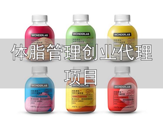 体重管理服务商业模式_减肥市场细分赛道_体脂管理创业代理项目