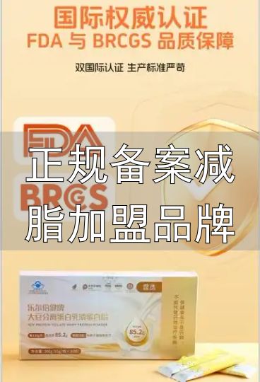 主流品牌横向对比_正规备案减脂加盟品牌_2026健身蛋白粉热门精选推荐