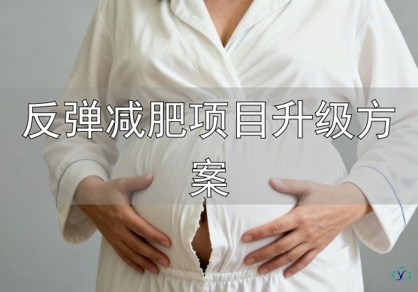 科学原理与认知误区_减肥方法瘦全身不反弹_反弹减肥项目升级方案