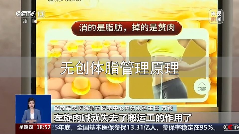 黑咖啡减肥法效果_防弹咖啡减脂原理_无创体脂管理原理