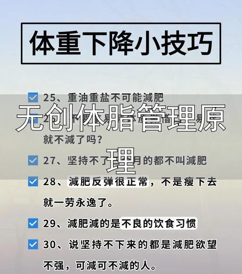 体成分静息心率指标_无创体脂管理原理_减脂体脂率腰围