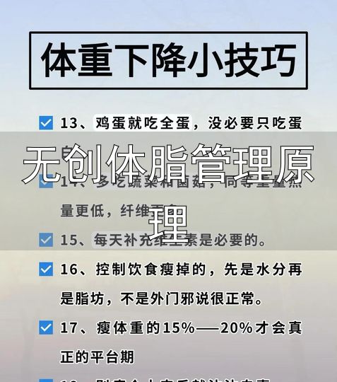 减脂体脂率腰围_体成分静息心率指标_无创体脂管理原理