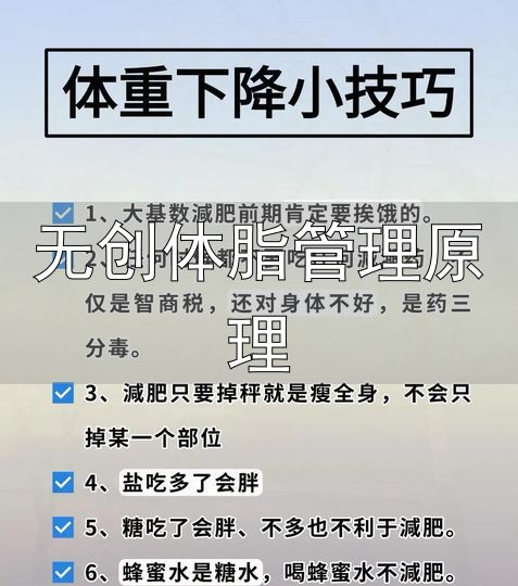 体成分静息心率指标_无创体脂管理原理_减脂体脂率腰围