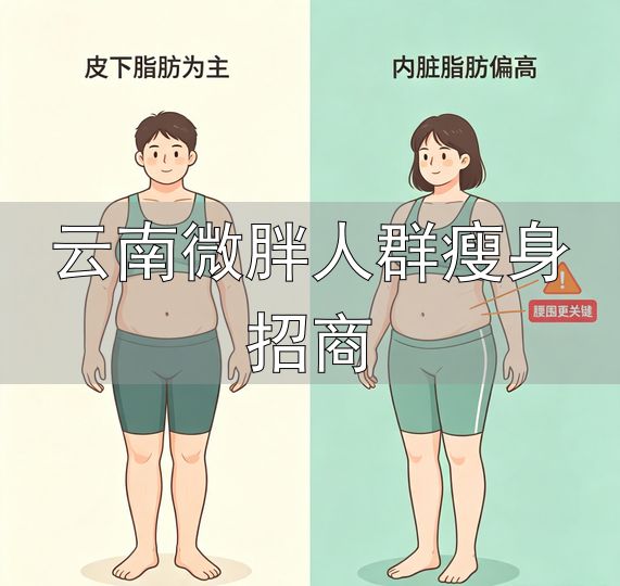 最佳BMI体重_云南微胖人群瘦身招商_微胖长寿