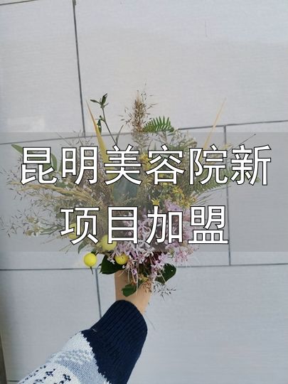 开店运营一体化_花艺培训加盟_昆明美容院新项目加盟