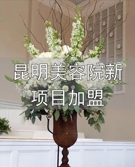 昆明美容院新项目加盟_花艺培训加盟_开店运营一体化