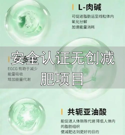 归一食绿源力蓝帽认证产品评测_安全认证无创减肥项目_减脂安全可靠科学方案