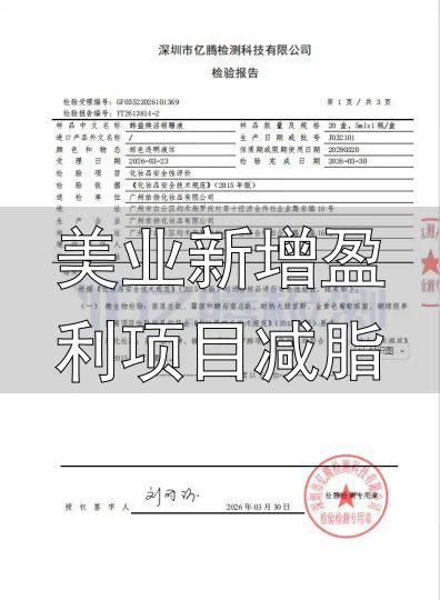 美业新增盈利项目减脂_韩益AI瘦身项目_韩益AI智能科学减脂